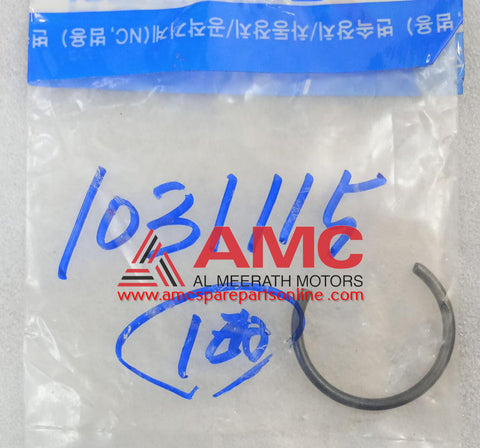 TATA - RING-LOCK PILOT BRG. 1031115