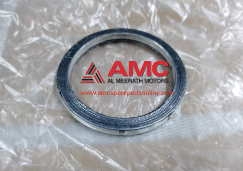 VICTORY-GASKET FOR GRAPHITE 1201122-01