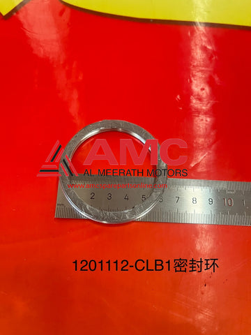 VICTORY-GASKET FOR GRAPHITE 1201112-CLB1