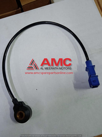 VICTORY-KNOCK SENSOR 261231204