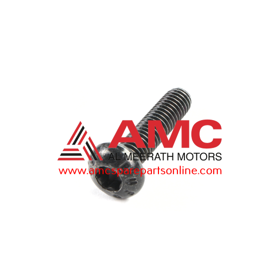 SCREW-TAPPING 1018805161