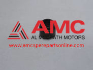 CAP, VALVE GEAR TRAIN 3000424302