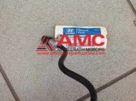TUBE-FUEL FEED 3131002000
