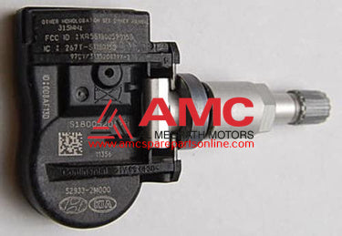 VALVE-TPMS 529332M000
