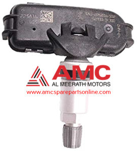 VALVE-TPMS 529333X300