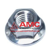 NUT 546591F100