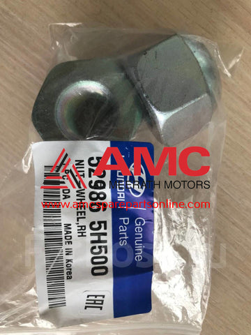 NUT-SELF LOCKING 624484E000