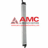 MEMBER ASSY-RADIATOR SUPT UPR 641403R050