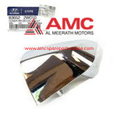 COVER-RR DR O/S HDL,LH 836522W010