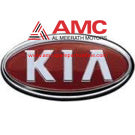 EMBLEM-AVANTE 863102Q000