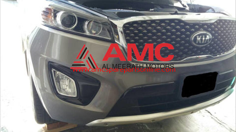 GRILLE-FRONT BUMPER FOG LAMP,L 86525C5200