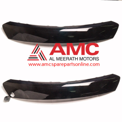 MOULDING-FR BUMPER 865412M300