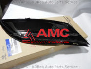 GRILLE-FR BUMPER SIDE LH 865613N010AF