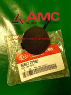 CAP-RR HOOK 866672P500