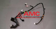 WIRING ASSY-FR DR(PASS) 916104F101