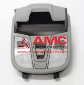 LAMP ASSY-O/HEAD CONSOLE 928102T01087