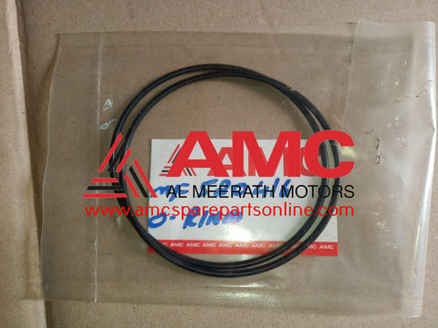 O-RING (D=100) MF520416