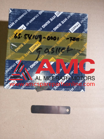 REED VALVE A/C COMPRESSOR 65541070001