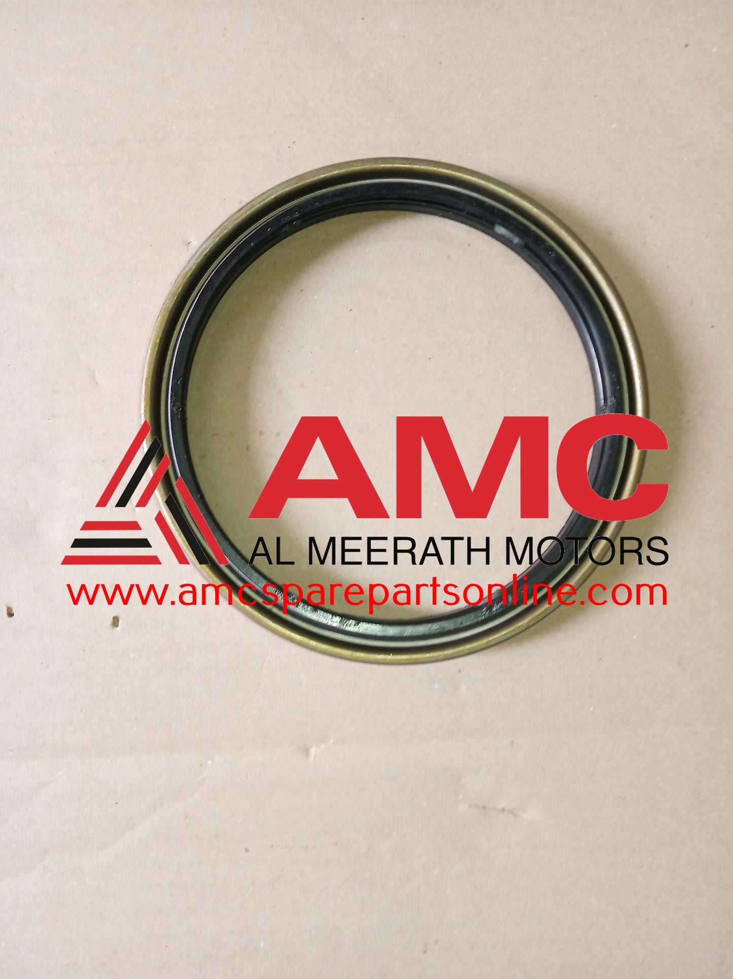 TNVOUS-FRONT HUB OIL SEAL 1096250410