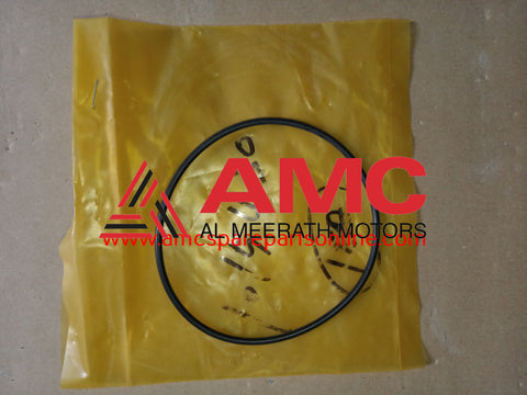 O RING 100 T/CAS 1015430