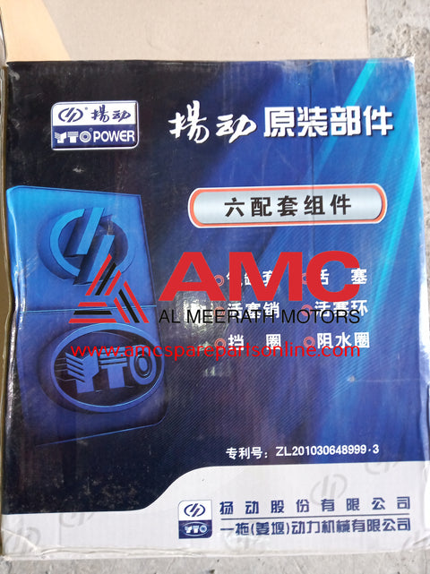 PISTON SET YSD490Q01020