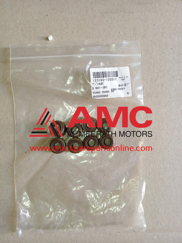 STEM SEAL YSD490Q403021