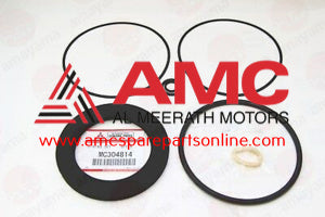 O-RING SET, DOOR ENGINE MC304814
