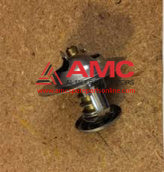 THERMOSTAT KIT ME994276