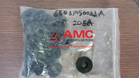 TNOVUS-CYLINDER HEAD CAP 65039050023A