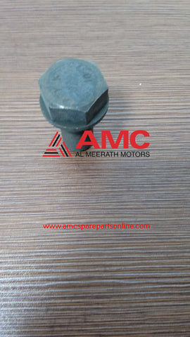 CROWN BOLT 1015345