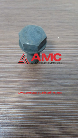 CROWN BOLT 1015345